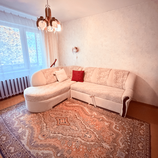 PARDUODAMAS 3-jų kambarių butas Šaltinių g., Alytuje